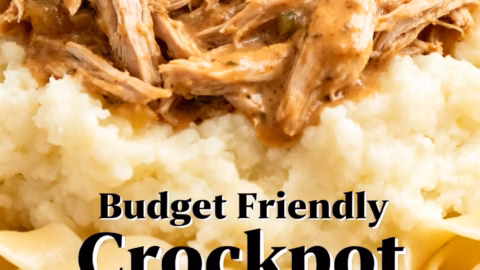 Budget Friendly Creamy One Pot Crockpot Recipe