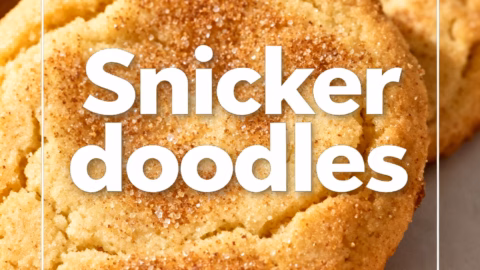 Easy & Quick Snickerdoodles No Dough Chilling Needed