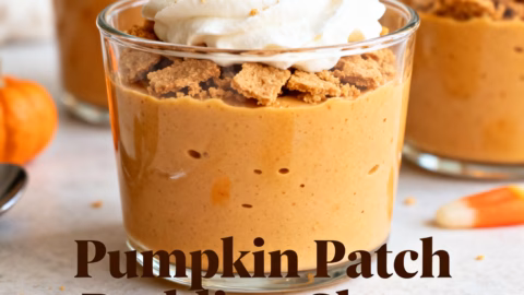Pumpkin Patch Pudding Shots : Creamy Pumpkin Patch Pudding Shots Easy Fall Dessert