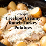 image of realistic top down mise en place shot showing the fresh ingredients arranged on a white marble kitchen counter with healthy clear glass bowls and rustic brown wooden kitchen sets under soft diffuse daylight with a crockpot chicken breast potatoes ranch seasoning cream of chicken soup chicken broth and fresh parsley