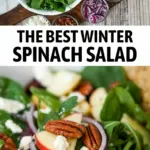 recipe image of a photography of baby spinach green apple red grapes dried cranberries green onions gorgonzola sugared pecans bacon pomegranate seeds olive oil cider vinegar maple syrup lemon juice all arranged on a white marble kitchen counter with healthy clear glass bowls and rustic brown wooden kitchenware under soft diffuse daylight realistic photography food photography