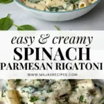 recipe image of fresh spinach rigatoni pasta parmesan cheese garlic extra virgin olive oil ricotta cheese fresh mozzarella heavy cream butter onions lemon zest red pepper flakes fresh basil salt black pepper nutmeg arranged on a white marble kitchen counter with healthy clear glass bowls and rustic brown wooden kitchen sets under soft diffuse daylight